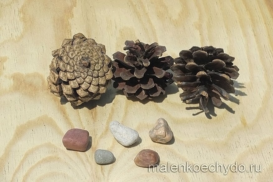 шишки камешки