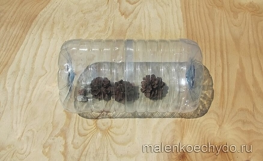 шишки в пластиковой бутылке